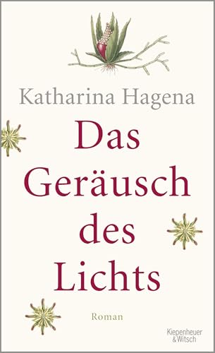 Das Geräusch des Lichts: Roman