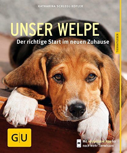 Unser Welpe: Der richtige Start im neuen Zuhause