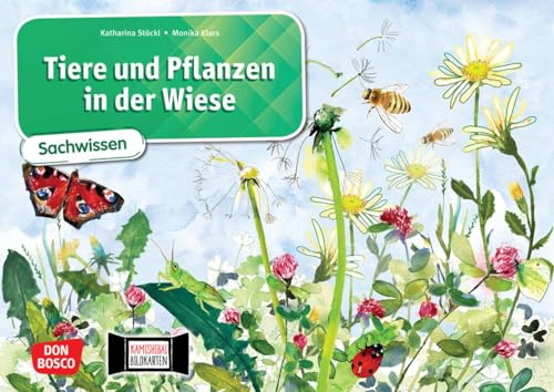 Tiere und Pflanzen in der Wiese. Kamishibai Bildkartenset: Sachwissen im Kamishibai. Mit dem Erzähltheater Sachunterricht in der Grundschule lebendig ... (Sachwissen für das Kamishibai) von Don Bosco