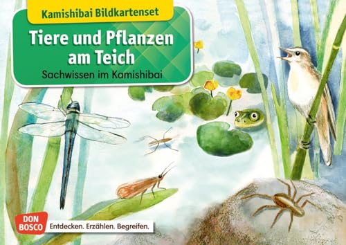 Tiere und Pflanzen am Teich. Kamishibai-Bildkartenset.: Entdecken - Erzählen – Begreifen: Sachwissen. (Sachwissen für das Kamishibai) von Don Bosco