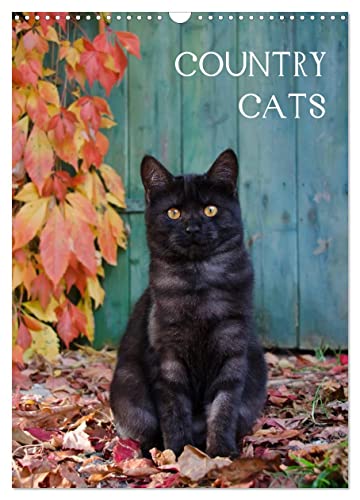 COUNTRY CATS (Wandkalender 2024 DIN A3 hoch), CALVENDO Monatskalender