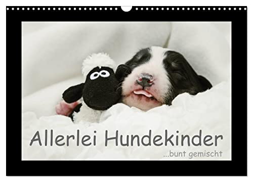 Allerlei Hundekinder (Wandkalender 2025 DIN A3 quer), CALVENDO Monatskalender von CALVENDO