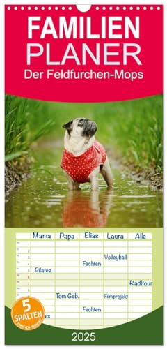 Familienplaner 2025 - Der Feldfurchen-Mops mit 5 Spalten (Wandkalender, 21 cm x 45 cm), CALVENDO von CALVENDO