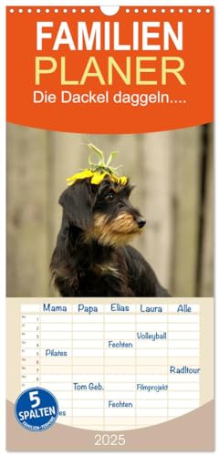 Familienplaner 2025 - Die Dackel daggeln mit 5 Spalten (Wandkalender, 21 cm x 45 cm), CALVENDO