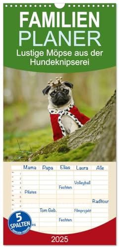 Familienplaner 2025 - Lustige Möpse aus der Hundeknipserei mit 5 Spalten (Wandkalender, 21 cm x 45 cm), CALVENDO