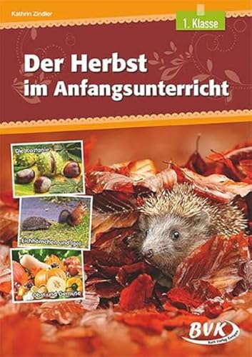 Der Herbst im Anfangsunterricht | Differenzierter Sachunterricht, 1. Klasse (heterogene Lernvoraussetzungen)