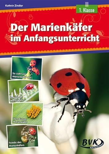 Der Marienkäfer im Anfangsunterricht | Differenzierter Sachunterricht, 1. Klasse (heterogene Lernvoraussetzungen) von Buch Verlag Kempen