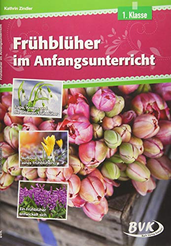 Frühblüher im Anfangsunterricht | Differenzierter Sachunterricht, 1. Klasse (heterogene Lernvoraussetzungen)