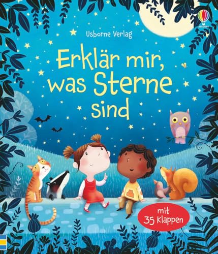 Erklär mir, was Sterne sind: Mit 35 Klappen (Erste Fragen und Antworten)