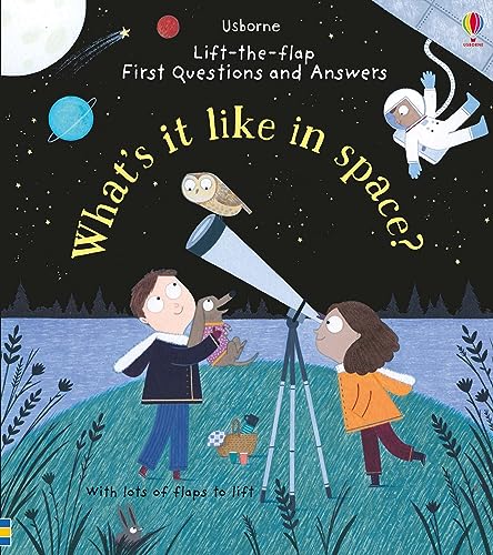 What's it Like in Space? (Lift-the-Flap First Questions and Answers): 1 von Usborne Publishing Ltd