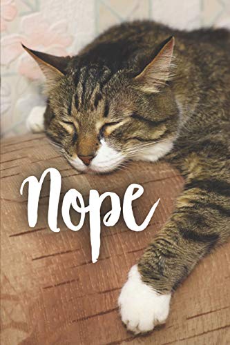 Nope: Funny Notebook Journal Sleeping Cat Gift (6 x 9) von Independently published