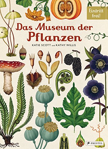 Das Museum der Pflanzen: Eintritt frei! von Prestel