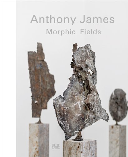 Anthony James: Morphic Fields (Zeitgenössische Kunst) von Hatje Cantz