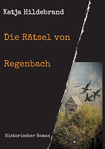 Die Rätsel von Regenbach: Historischer Roman