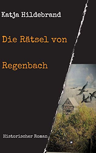 Die Rätsel von Regenbach: Historischer Roman