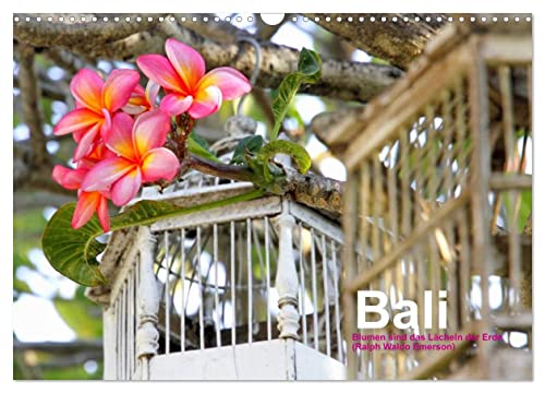 Bali (Wandkalender 2024 DIN A3 quer), CALVENDO Monatskalender von CALVENDO