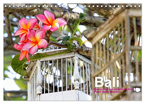 Bali (Wandkalender 2024 DIN A4 quer), CALVENDO Monatskalender