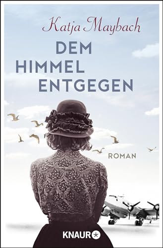 Dem Himmel entgegen: Roman