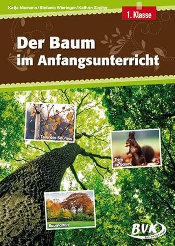 Der Baum im Anfangsunterricht | Differenzierter Sachunterricht, 1. Klasse (heterogene Lernvoraussetzungen) von Buch Verlag Kempen