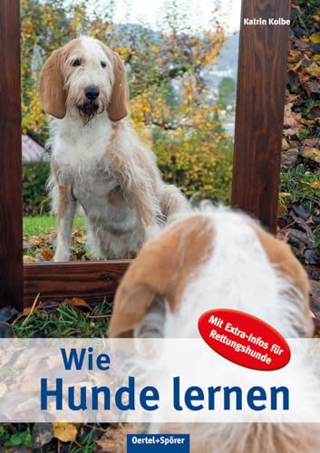 Wie Hunde lernen: Mit Extra-Infos für Rettungshunde