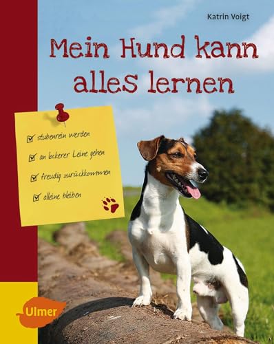 Mein Hund kann alles lernen: Stubenrein werden, an lockerer Leine gehen, freudig zurückkommen, alleine bleiben von Ulmer Eugen Verlag