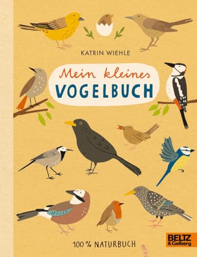 Mein kleines Vogelbuch: 100% Naturbuch - Vierfarbiges Pappbilderbuch