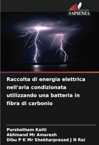 Raccolta di energia elettrica nell'aria condizionata utilizzando una batteria in fibra di carbonio: DE von Edizioni Sapienza