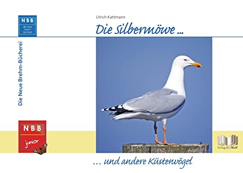 Die Silbermöwe und andere Küstenvögel (NBB junior) von Militzke Verlag GmbH
