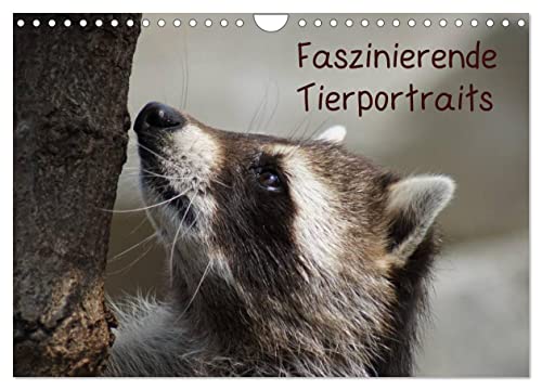Faszinierende Tierportraits (Wandkalender 2025 DIN A4 quer), CALVENDO Monatskalender von CALVENDO