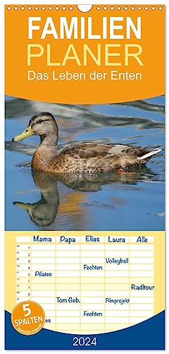 Familienplaner 2024 - Das Leben der Enten mit 5 Spalten (Wandkalender, 21 cm x 45 cm) CALVENDO