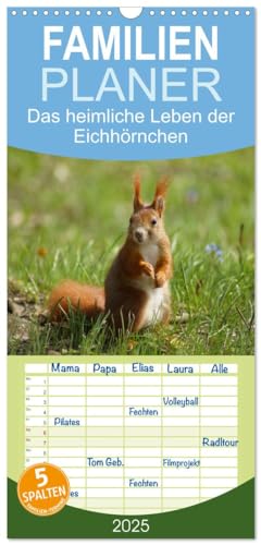 Familienplaner 2025 - Das heimliche Leben der Eichhörnchen mit 5 Spalten (Wandkalender, 21 cm x 45 cm), CALVENDO von CALVENDO