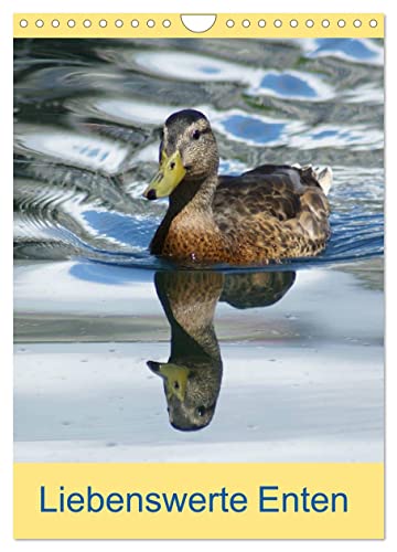 Liebenswerte Enten (Wandkalender 2025 DIN A4 hoch), CALVENDO Monatskalender von CALVENDO