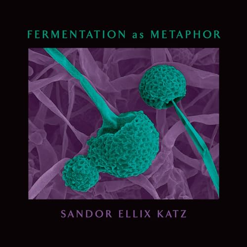 Fermentation as Metaphor: From the Author of the Bestselling the Art of Fermentation von Chelsea Green Publishing Company