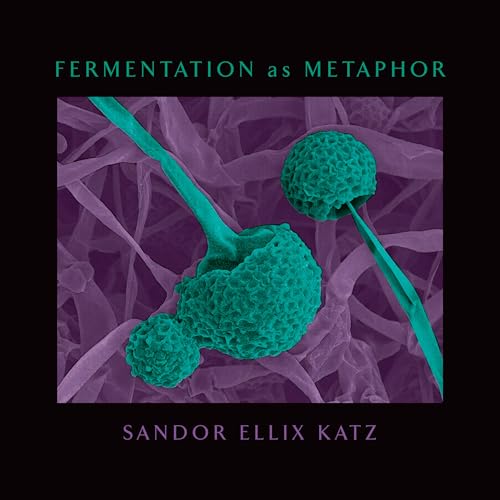 Fermentation as Metaphor: From the Author of the Bestselling the Art of Fermentation von Chelsea Green Publishing Company