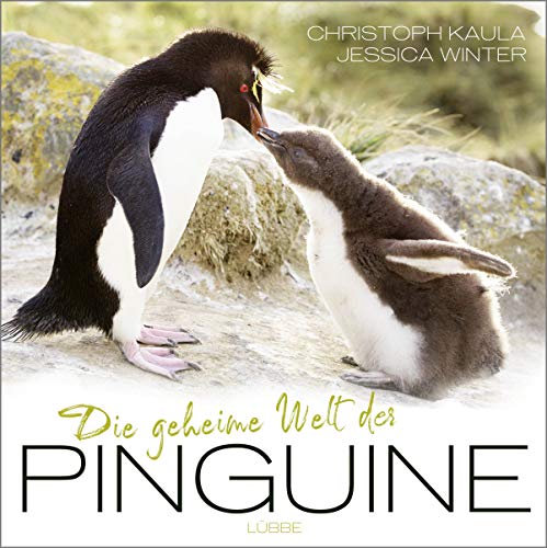 Die geheime Welt der Pinguine von Lübbe