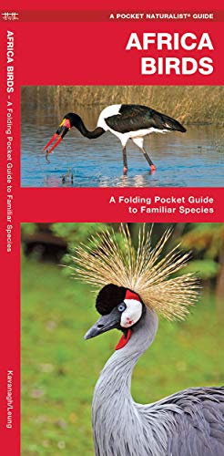 African Birds: A Folding Pocket Guide to Familiar Species (Pocket Naturalist Guide)