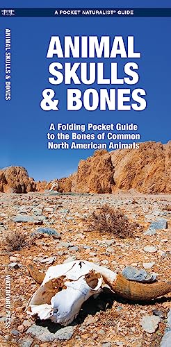 Animal Skulls & Bones: A Folding Pocket Guide to the Bones of Common North American Animals (Outdoor Skills and Preparedness)