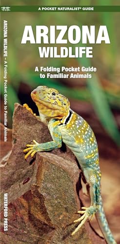 Arizona Wildlife: A Folding Pocket Guide to Familiar Species (Wildlife and Nature Identification)