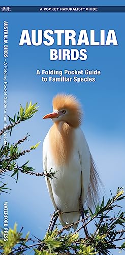 Australian Birds: A Folding Pocket Guide to Familiar Species (Wildlife and Nature Identification)
