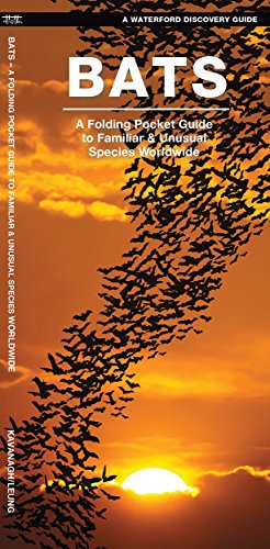 Bats: A Folding Pocket Guide to Familiar & Unusual Species Worldwide (Waterford's Discovery Guides)