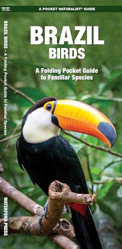 Brazil Birds: A Folding Pocket Guide to Familiar Species (Pocket Naturalist Guide)