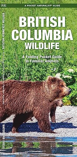 British Columbia Wildlife: A Folding Pocket Guide to Familiar Species: A Folding Pocket Guide to Familiar Animals (Pocket Naturalist)