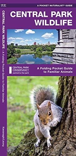 Central Park Wildlife: A Folding Pocket Guide to Familiar Species (Pocket Naturalist Guides)