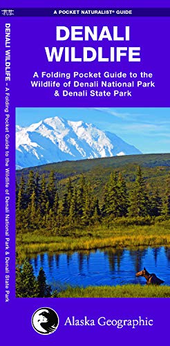 Denali Wildlife: A Folding Pocket Guide to the Wildlife of Denali National Park & Denali State Park (Pocket Naturalist Guide)