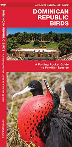 Dominican Republic Birds: A Folding Pocket Guide to Familiar Species (Pocket Naturalist Guide)