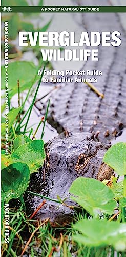 Everglades Wildlife: A Folding Pocket Guide to Familiar Animals (Pocket Traveller)
