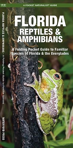 Florida Reptiles & Amphibians: A Folding Pocket Guide to Familiar Species of Florida & the Everglades (Pocket Naturalist Guide)