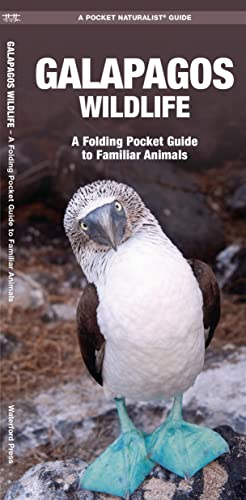 Galapagos Wildlife: An Introduction to Familiar Species: A Folding Pocket Guide to Familiar Animals (Wildlife and Nature Identification)