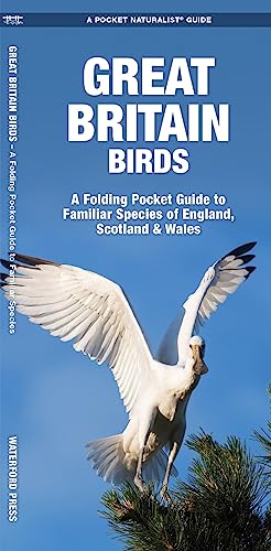 Great Britain Birds: A Folding Pocket Guide to Familiar Species of England, Scotland & Wales (Wildlife and Nature Identification)