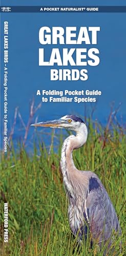 Great Lakes Birds: An Introduction to Familiar Species: A Folding Pocket Guide to Familiar Species (Wildlife and Nature Identification)